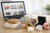 Discount Gift Ideas Online That Feel Personal
