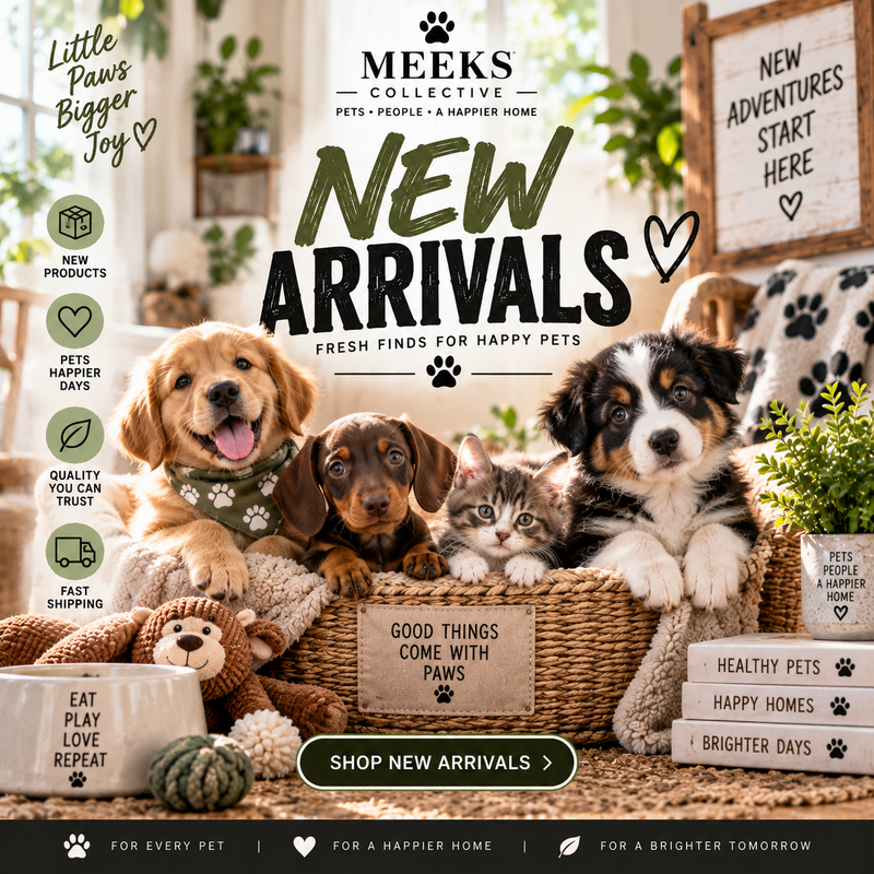 New Arrivals