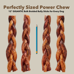 12" Gigantic Braided Bully Sticks