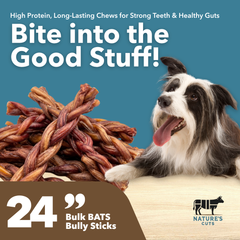 12" Gigantic Braided Bully Sticks