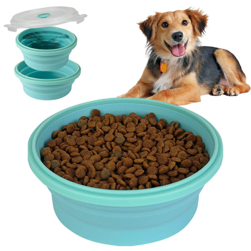 Collapsible Dog Bowl
