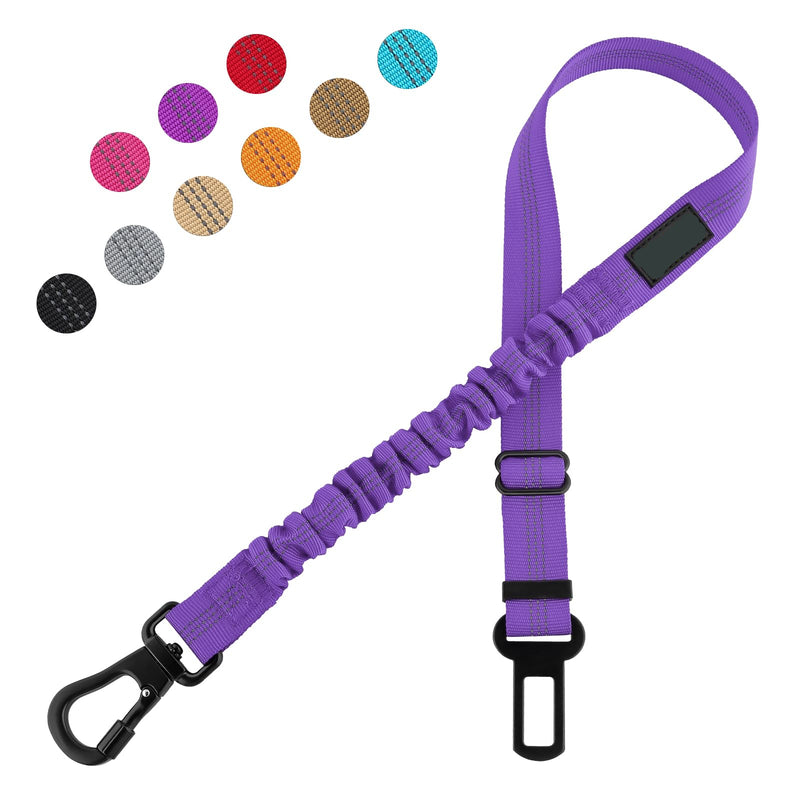 Dog Seat Belt