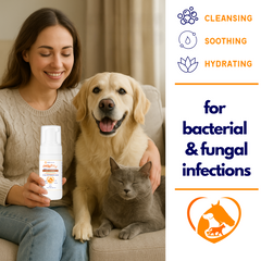 OMNISx Leave-On Mousse -  Sulfur based Veterinary-Strength Formula for Itchy, Irritated, or Sensitive Skin