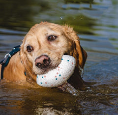 Durable Football Chew Toy for Dogs