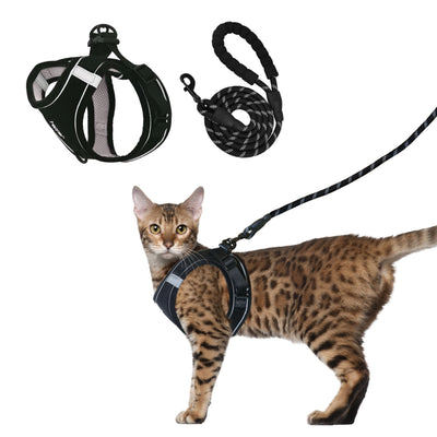 Cat Harness & Leash
