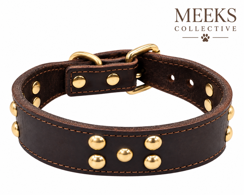 Premium Cowhide Studded Dog Collar
