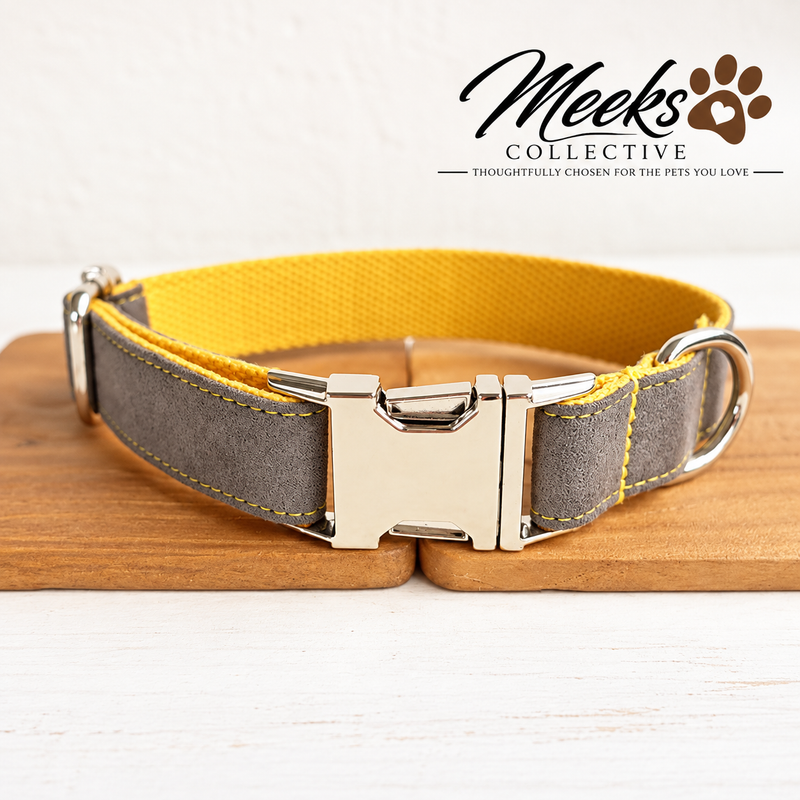 Meeks Golden Slate Adjustable Dog Collar