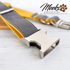 Meeks Golden Slate Adjustable Dog Collar