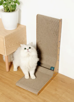 Cat Scratching Board