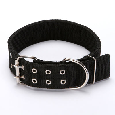 Lightweight Dog Collar